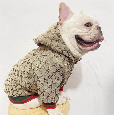 french bulldog gucci shoes|Shop Dog Clothes, Sweaters, Hoodies, Shirts for French Bulldog, .